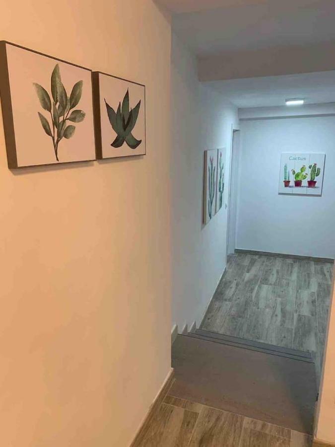 Casa Hana Apartment Mogan Bagian luar foto